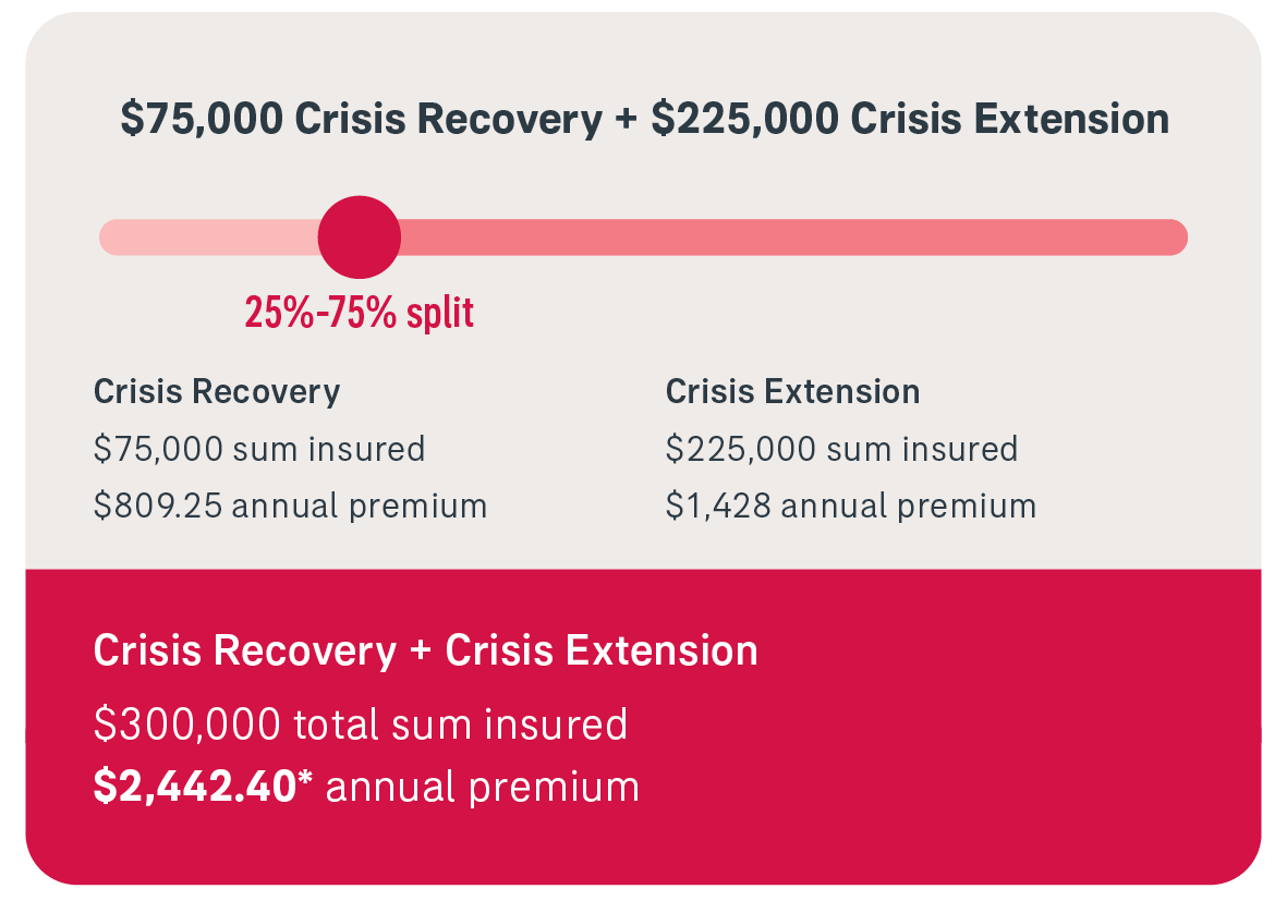 option 3 crisis recovery