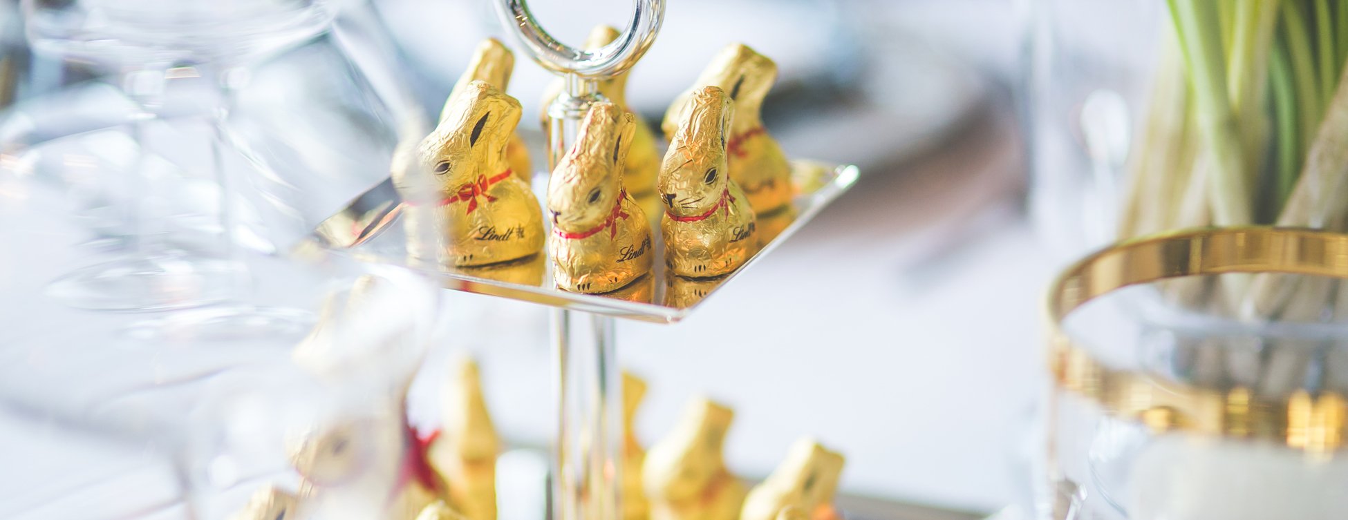 Chocolate easter bunnies